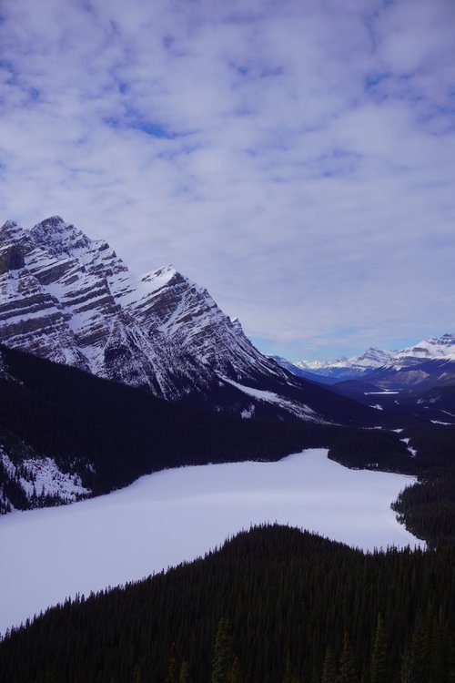 peyto lake in winter