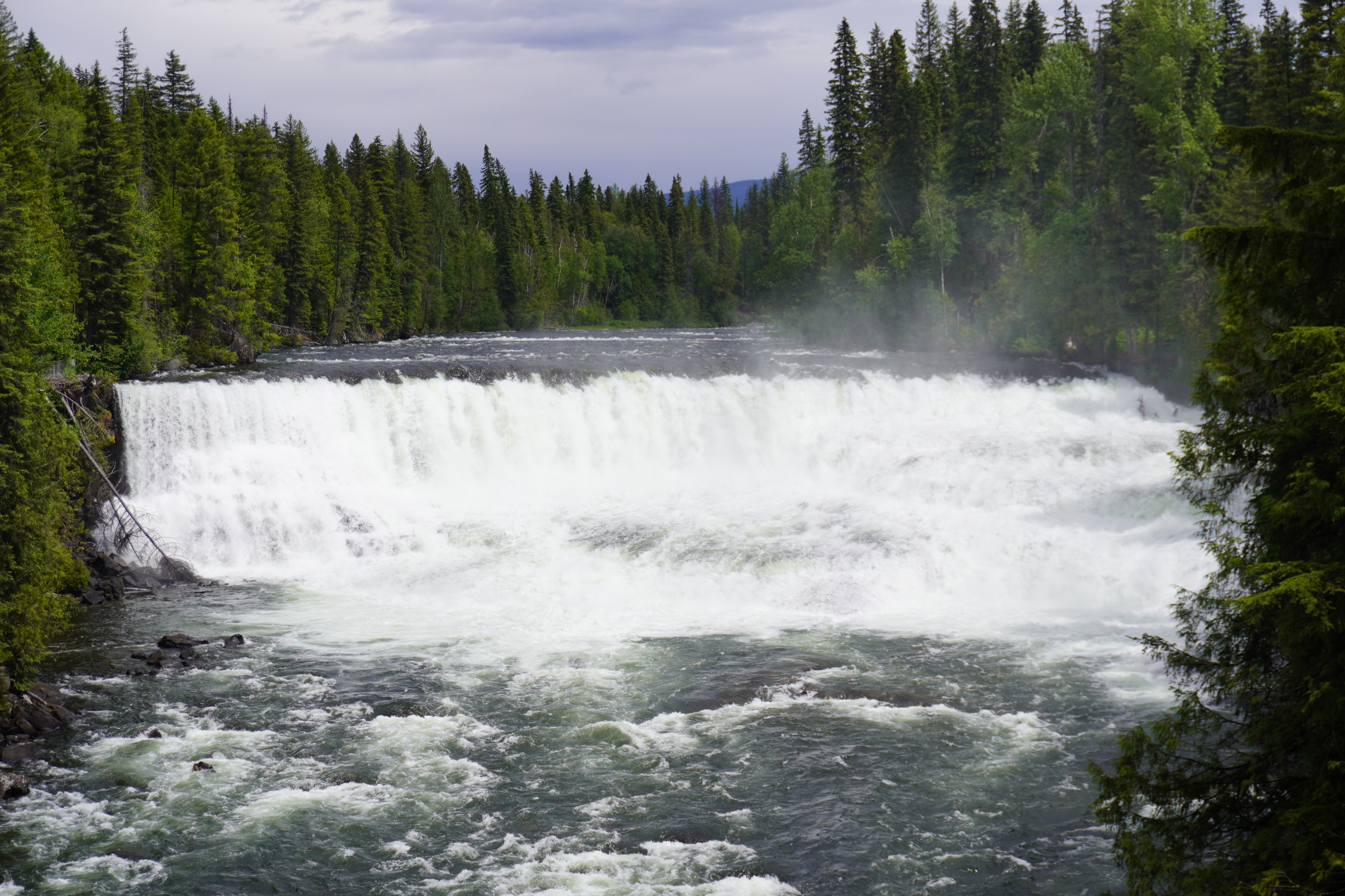 dawson falls viewpoint