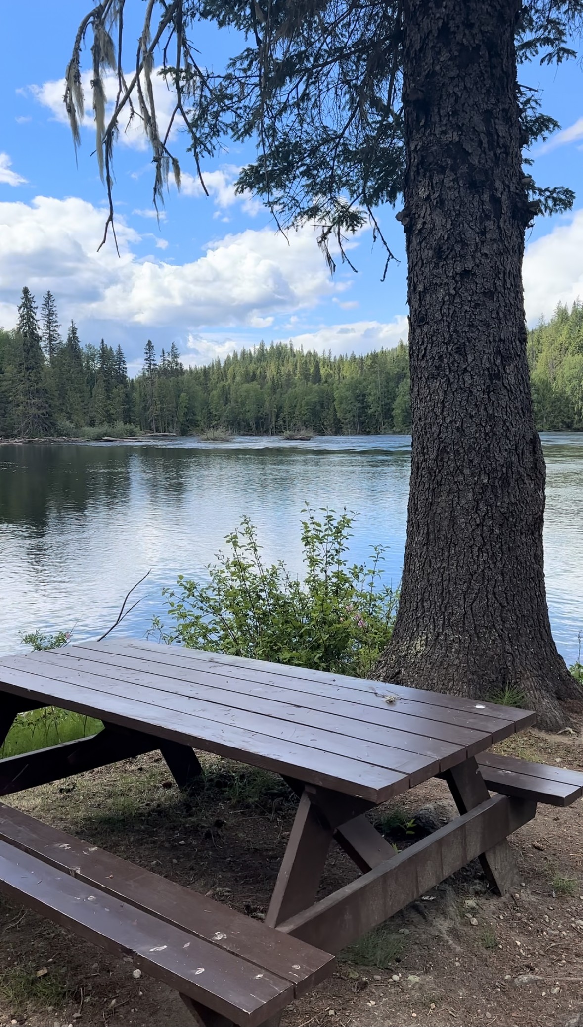 picnic table at clearwater lake
